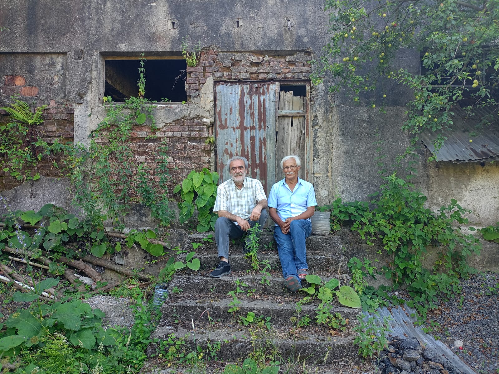 Kireçlik’teki Salon (2)